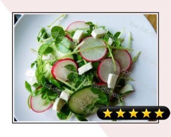 Spring Radish and Pea Sprout Salad recipe